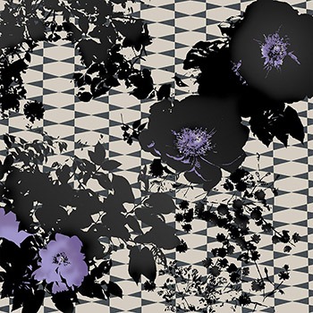 インプレッション