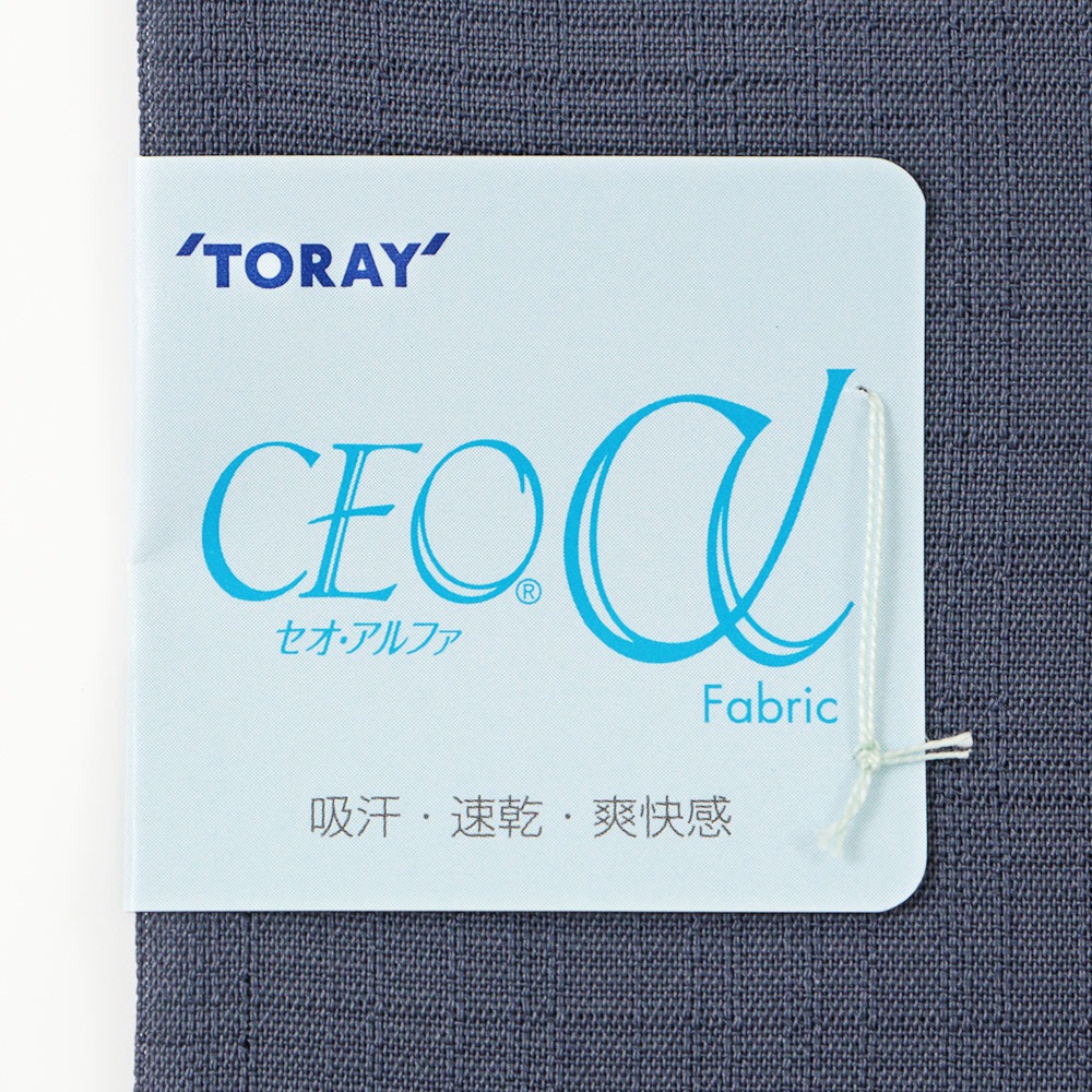 洗える色無地【東レセオα】