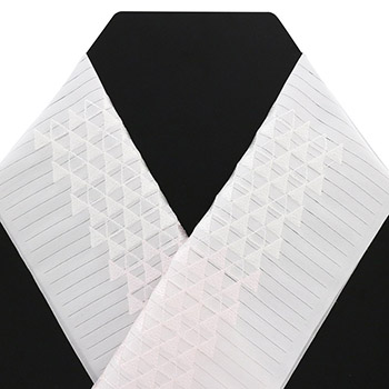 刺繍絽半衿（鱗）【いち利モールオリジナル】