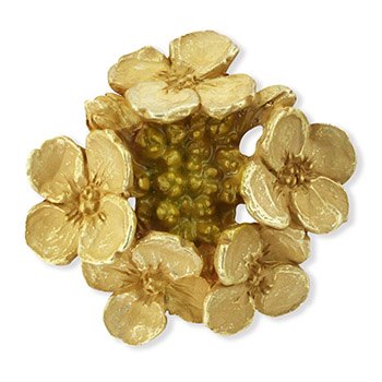 帯留（なのはな）【数-SUU-】