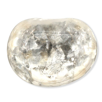 貝帯留（豆型/貝散らし）【リオン工芸】