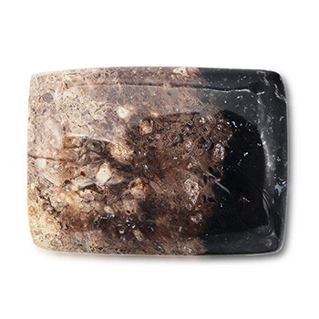 天然石帯留（長方形/ペトリファイドパームウッド）