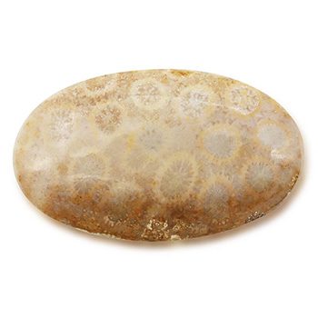 天然石帯留（楕円形/フォッシルコーラル）