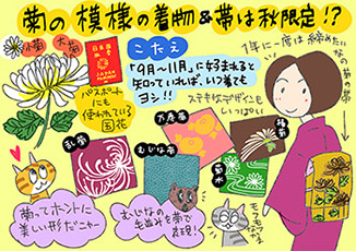 菊の模様の着物＆帯は秋限定？の巻