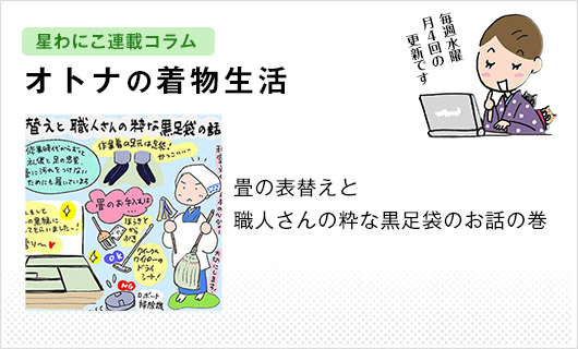 星わにこ連載コラム「オトナの着物生活」